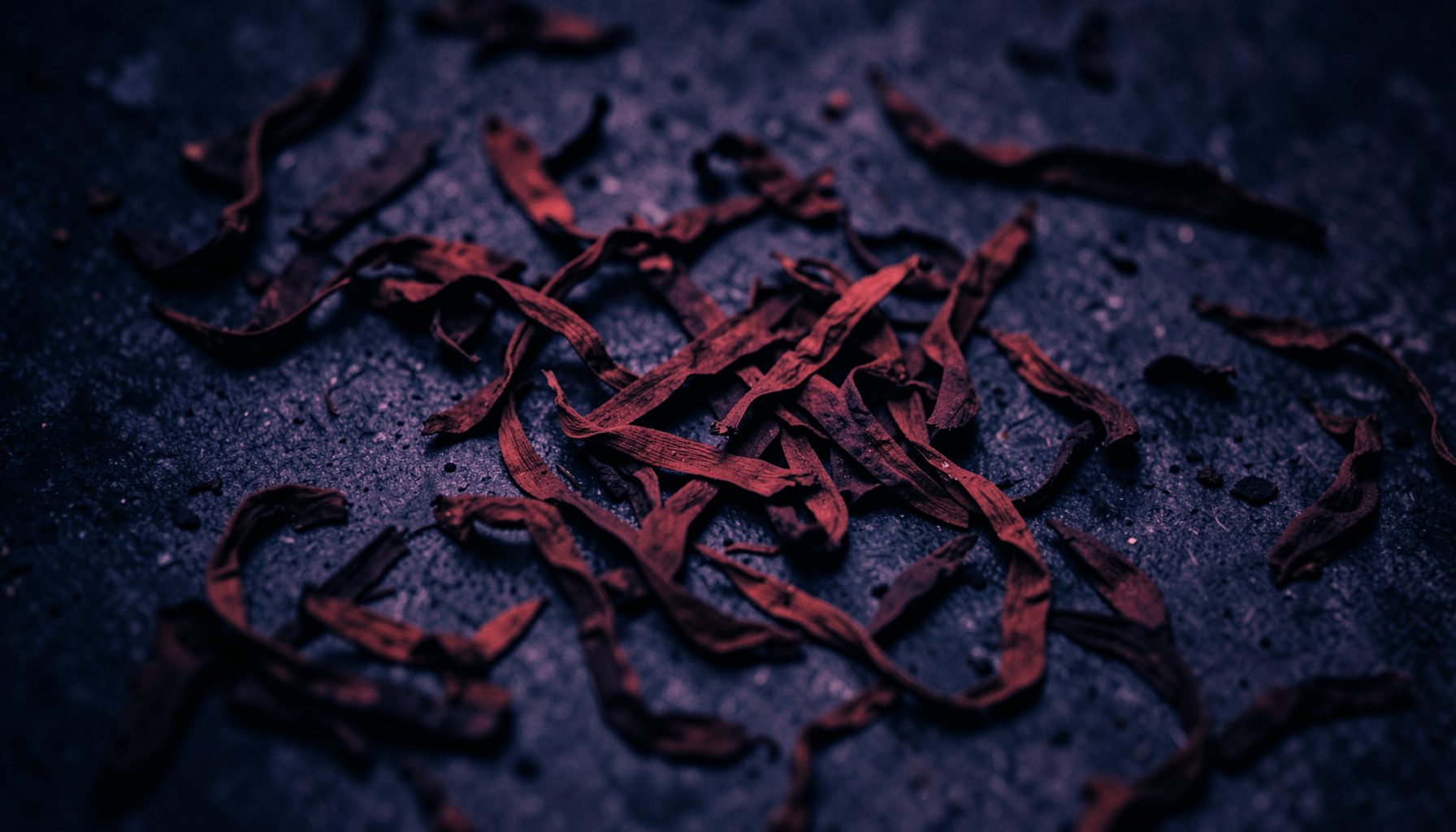 A dark atmospheric duotone photograph of scattered tobacco leaves on a textured surface, deep navy and muted crimson tones, moody and editorial