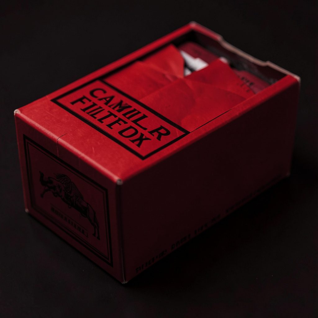 Camel Filter Box cigarettes pack shown on a clean surface.