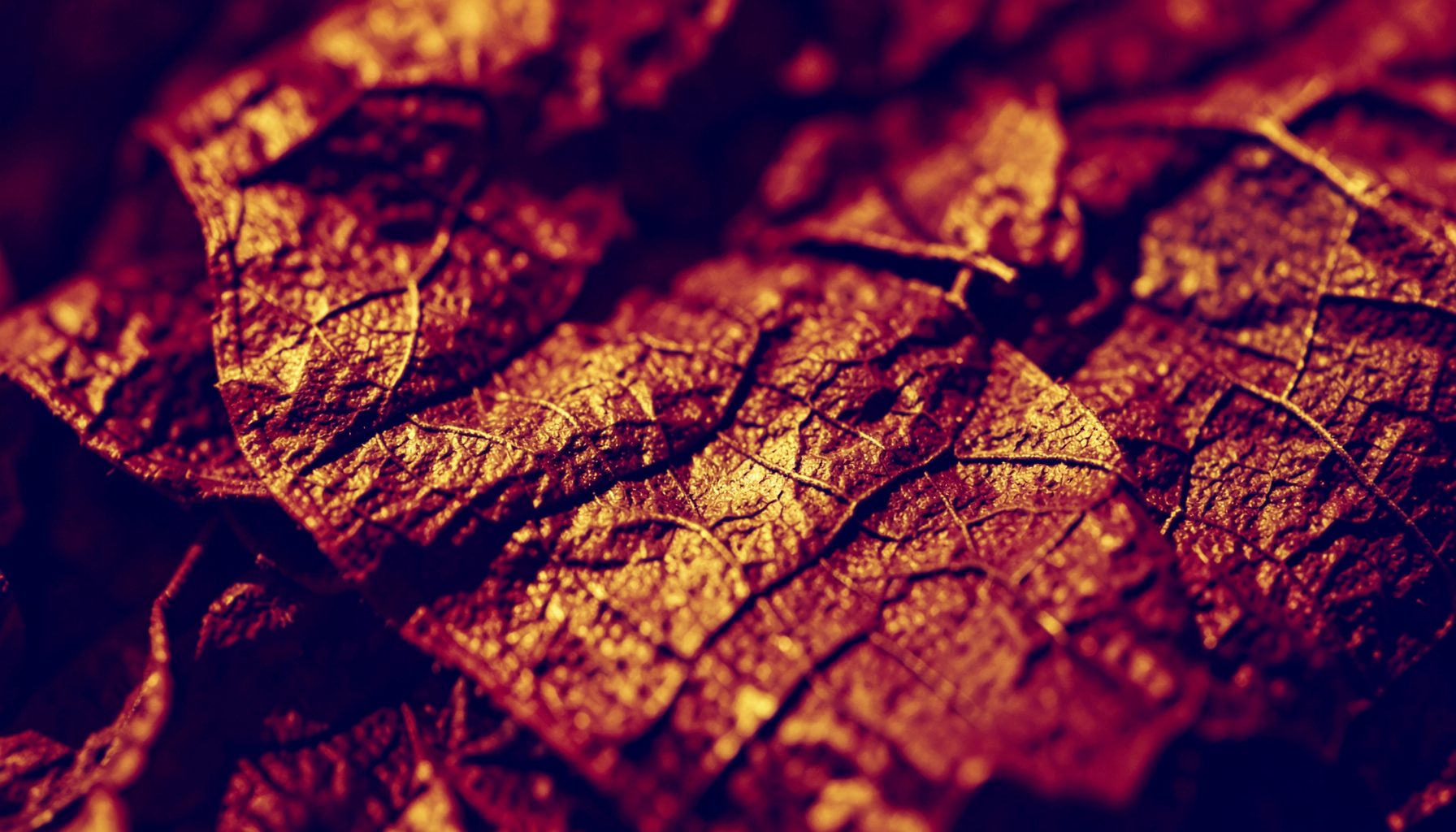 Close-up photograph of a textured tobacco leaf surface in warm brown and gold tones, soft natural light, rendered as a hard two-tone duotone in deep navy and crimson.